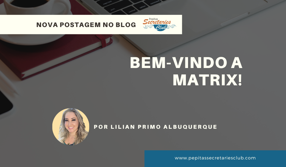 Bem-vindo &agrave; Matrix